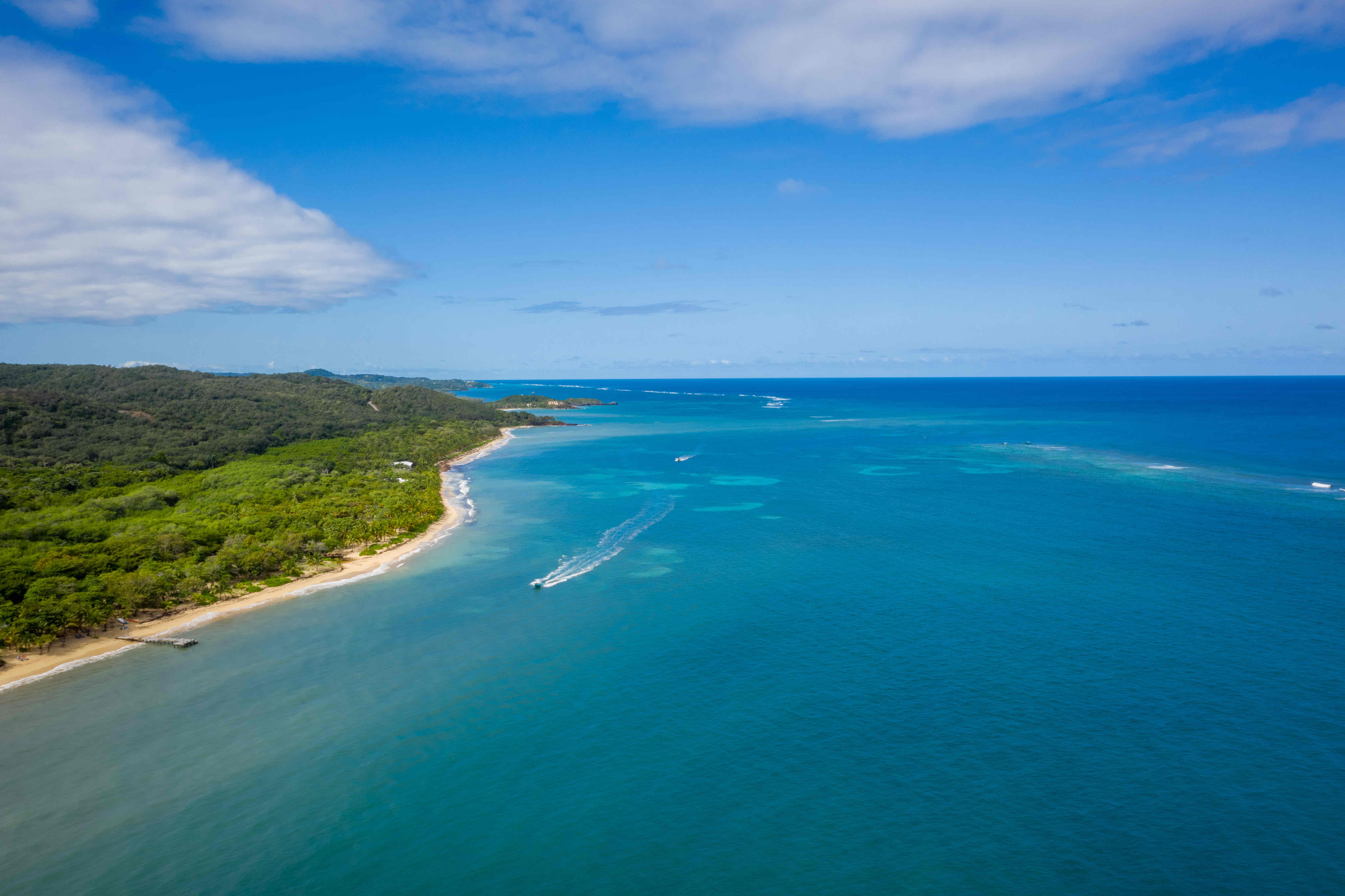camp bay roatan real estate