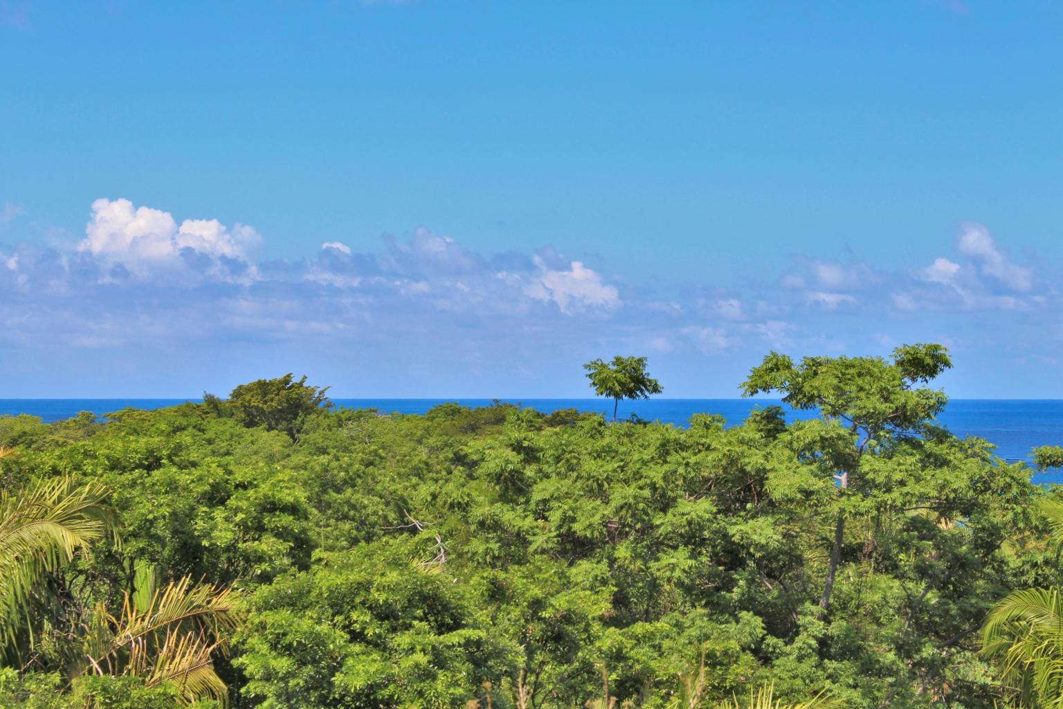 punta gorda roatan real estate