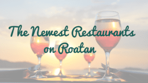 st helene land for sale